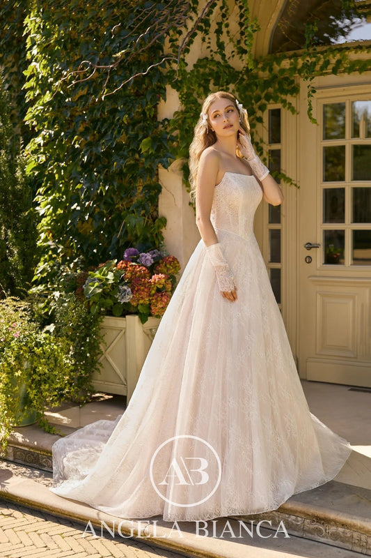 Chantilly Lace & Basque Waisted Wedding Dresses Trending in 2025