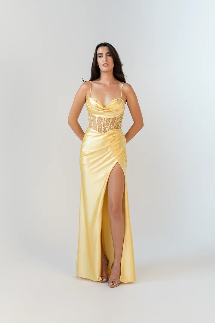 Belladonna PO24143