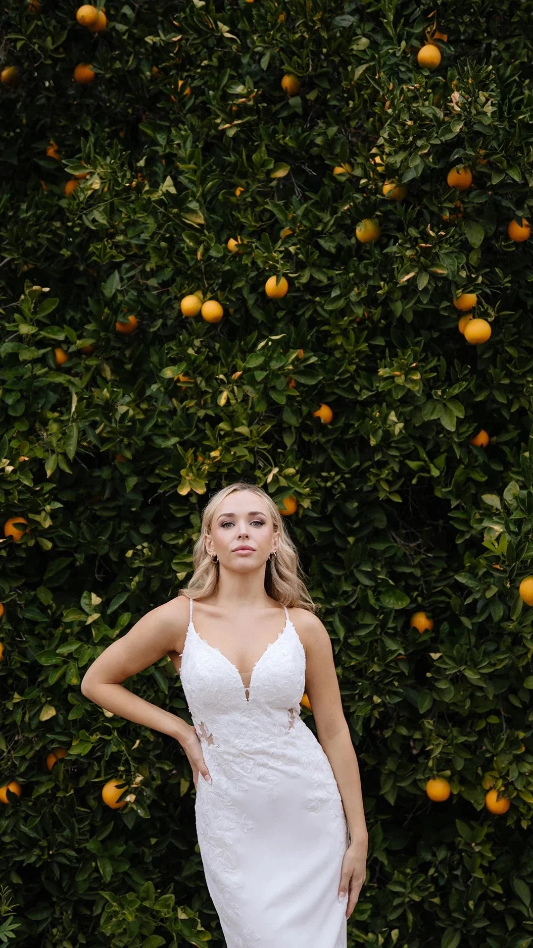 Stella York 7855